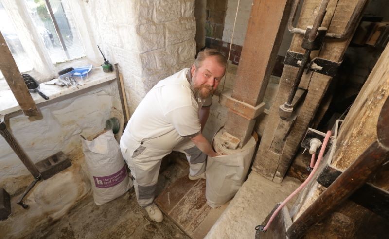 Other image for Daily grind needs new flour power